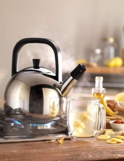 Zwilling Plus Fluitketel Rond 1,6 Liter Rvs -Kookwinkel Keuken Verkoopwinkel zwilling plus fluitketel rond 1 5 liter rvs